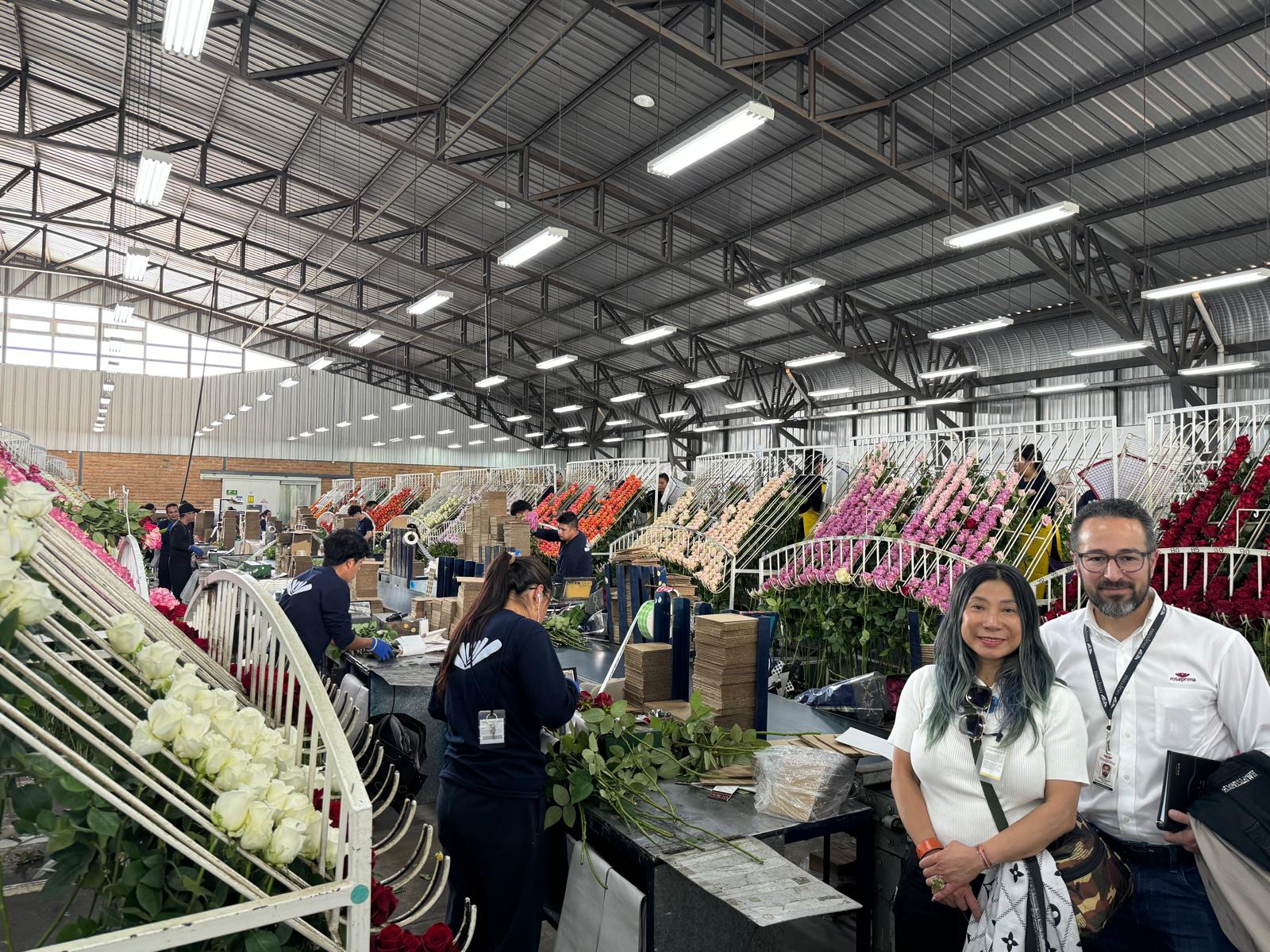 Flowers on farms near equator