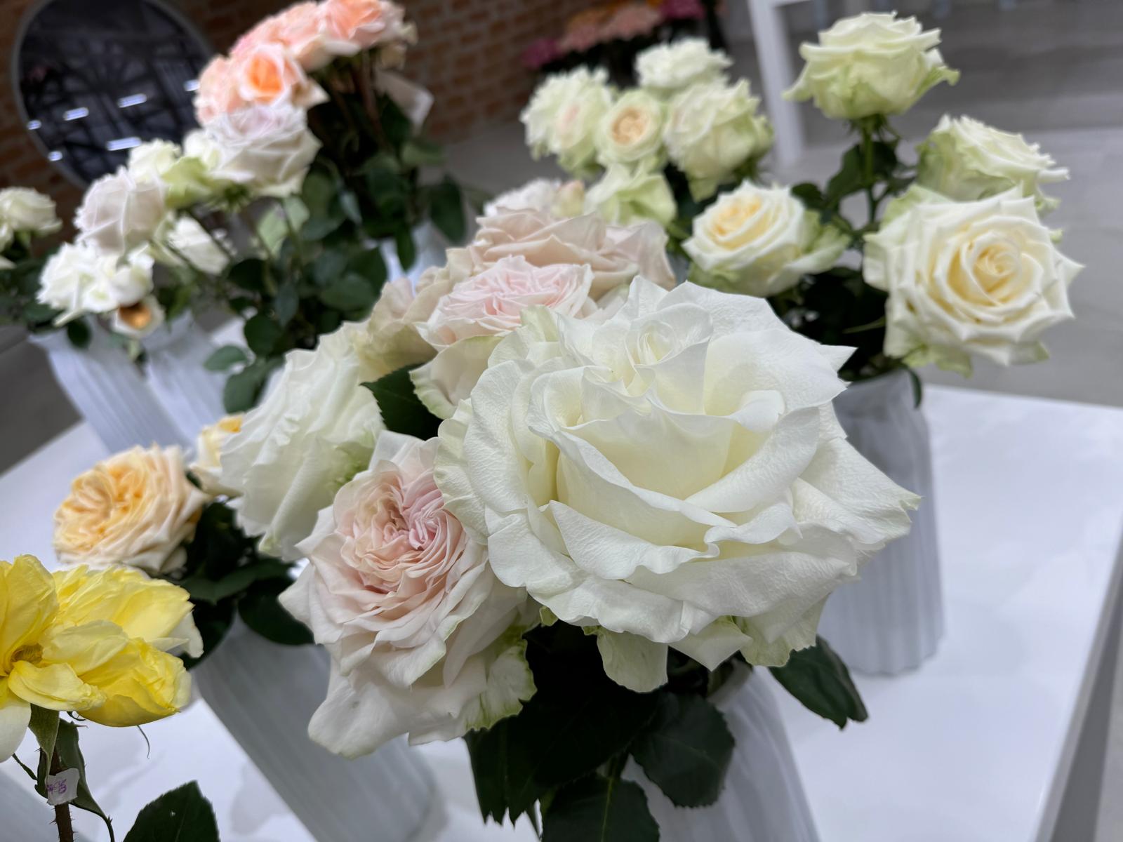 Flowers in the destination after days